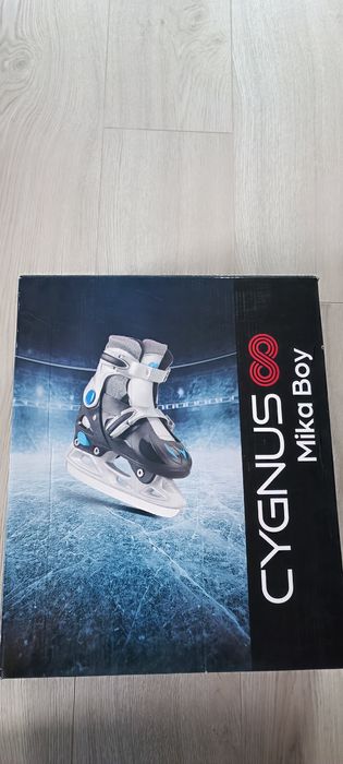 Patine gheata, patinaj agrement