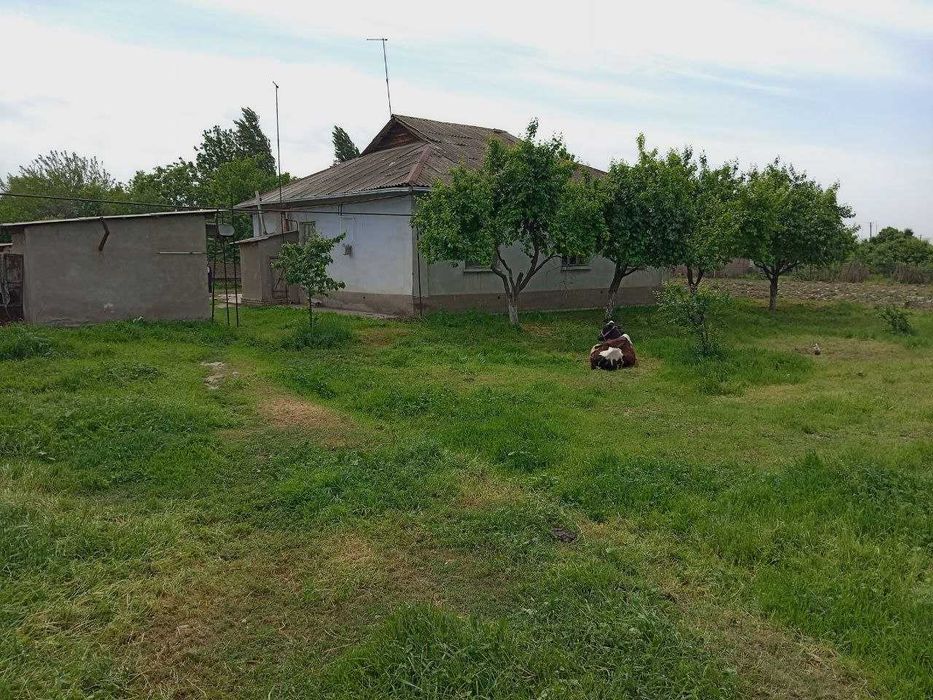 6 комнат, 31 сотка,  Ташкентская область. Свет-Газ-Вода есть