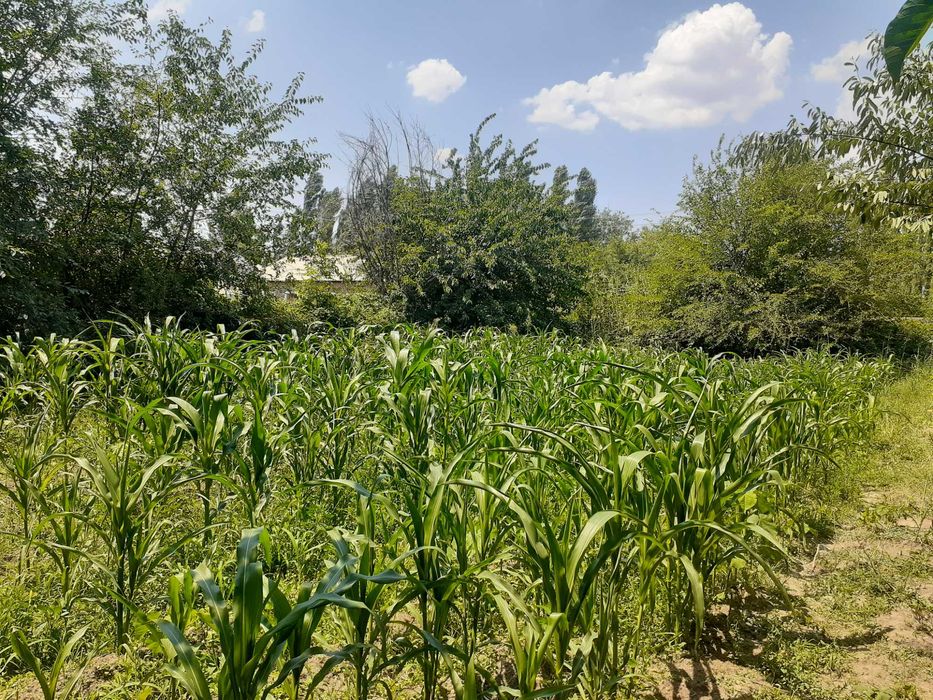 продается участка в Aнгрене