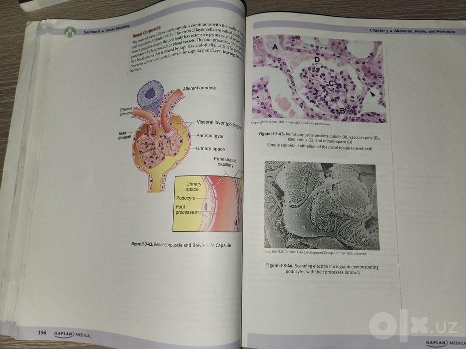 Оригинальный комплект USMLE Step 1 (США, 7 книг)