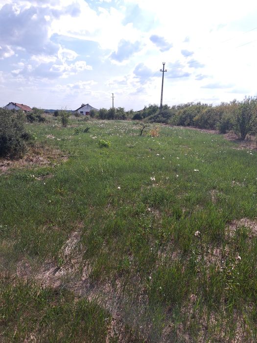 Teren intravilan Mandruloc