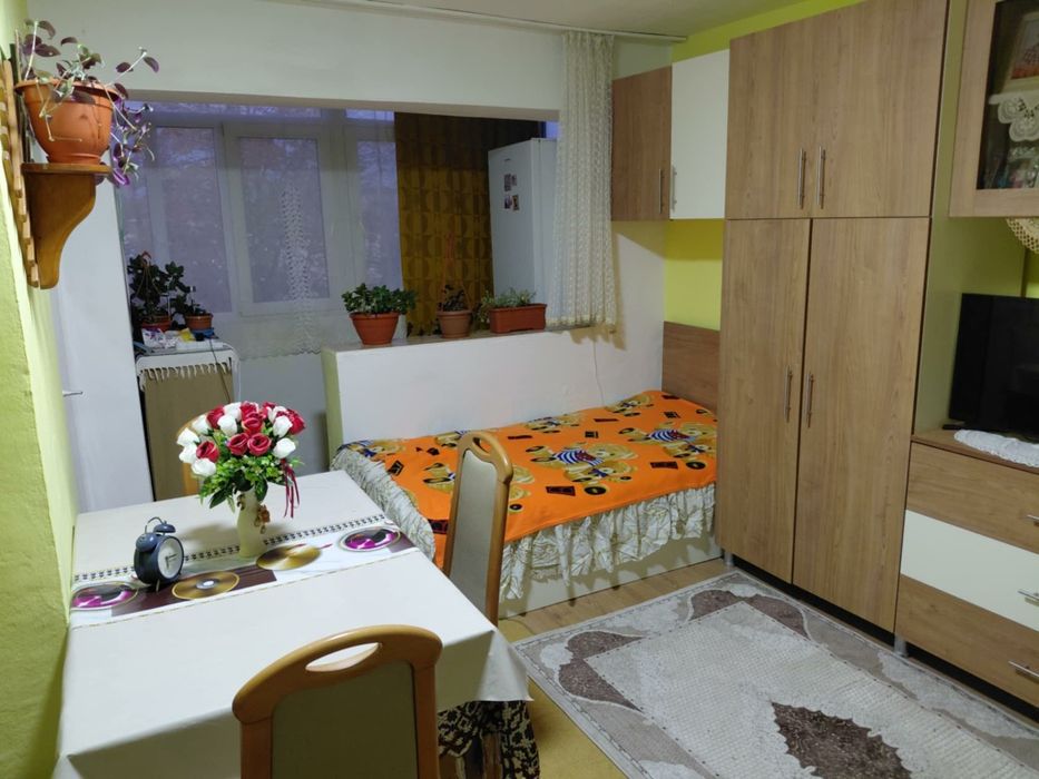 Garsoniera alesd