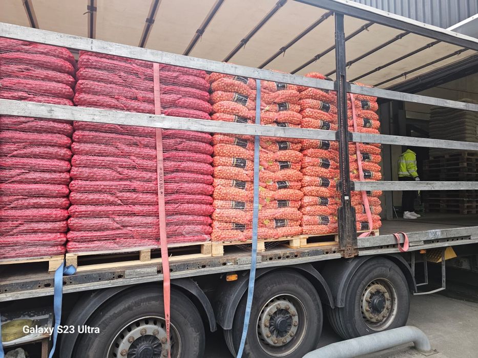 Vand arpagic stuttgarter reisen olanda