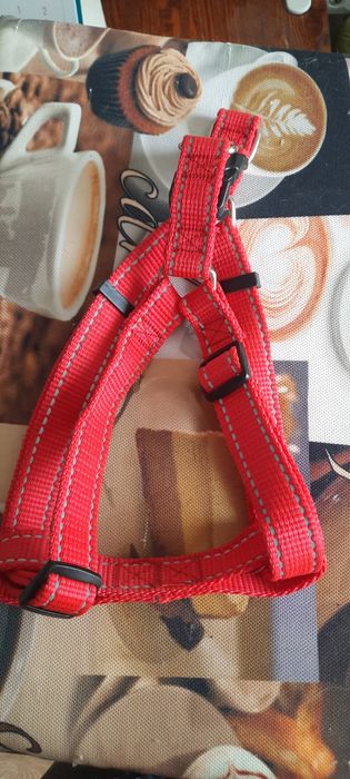 Амуниция для собак