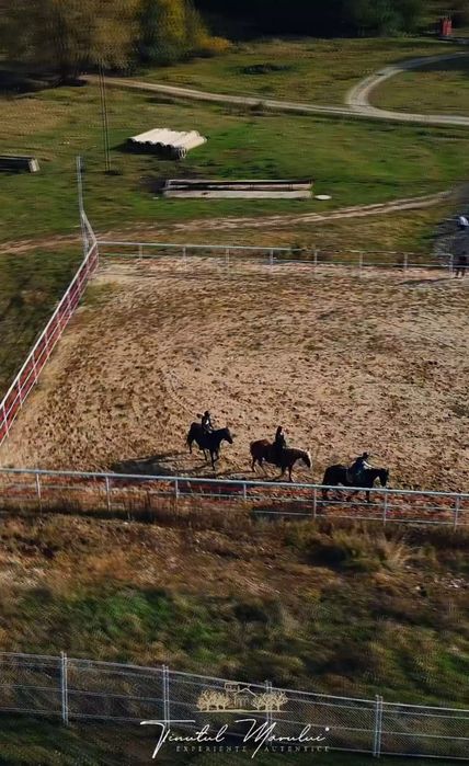 lecții de echitație