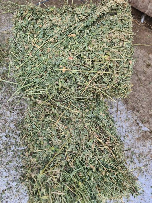 Baloți de lucernă coasa 3 și 4