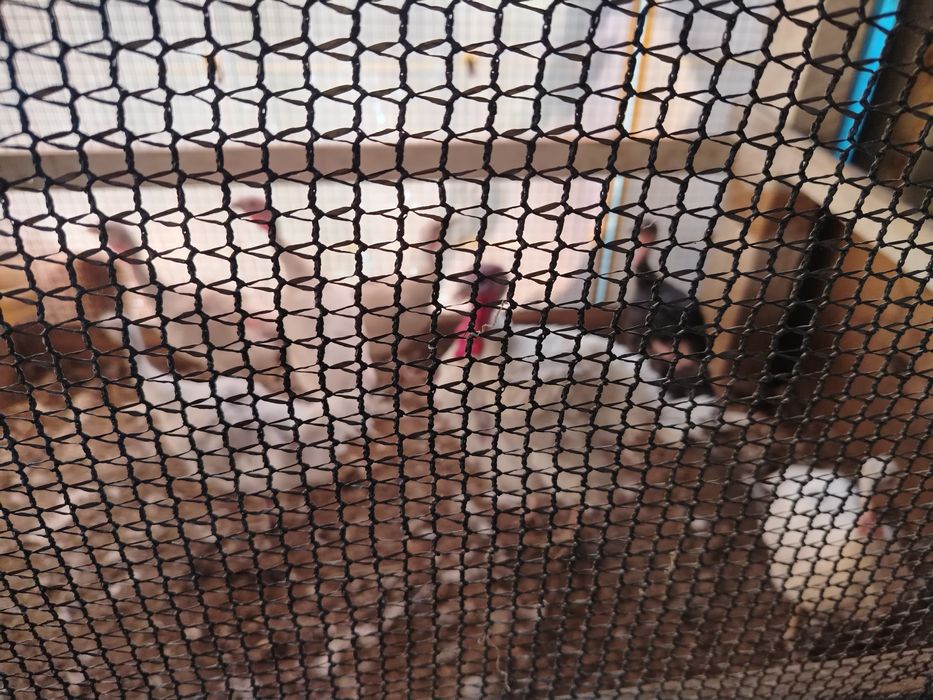 Ундук сатылады..