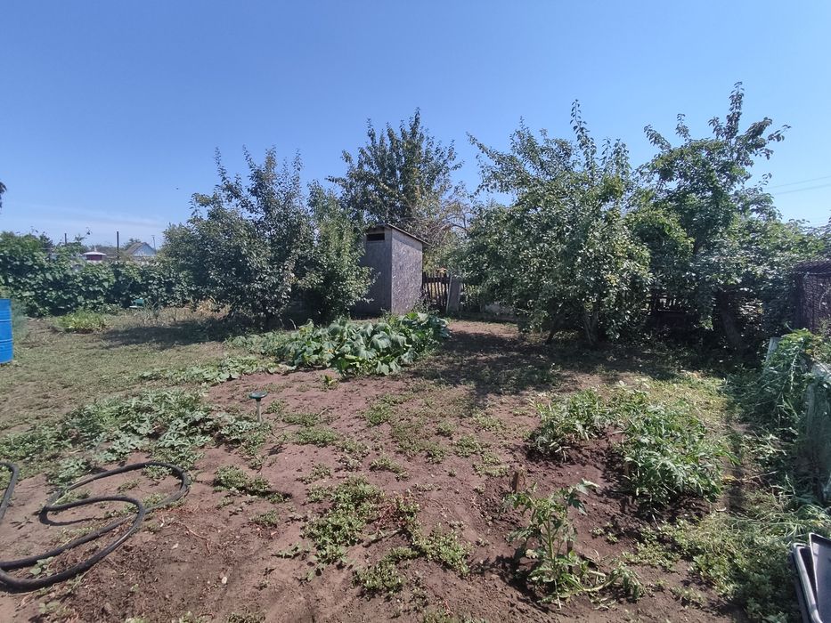 Продается дача, Сады1