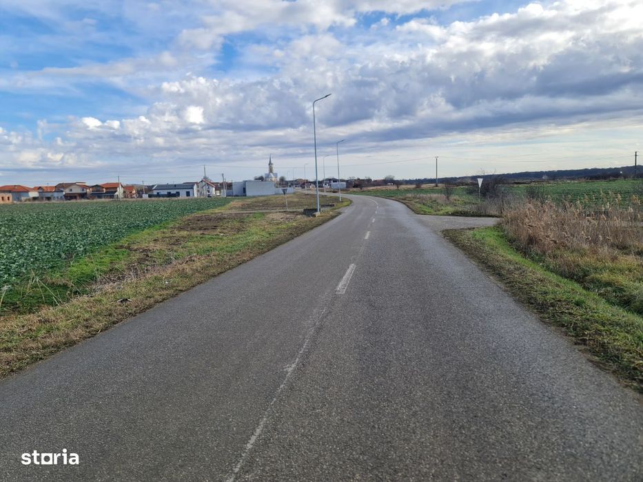 Teren de Vânzare Vladimirescu 7800 mp,2 fronturi stradale,218m.liniari