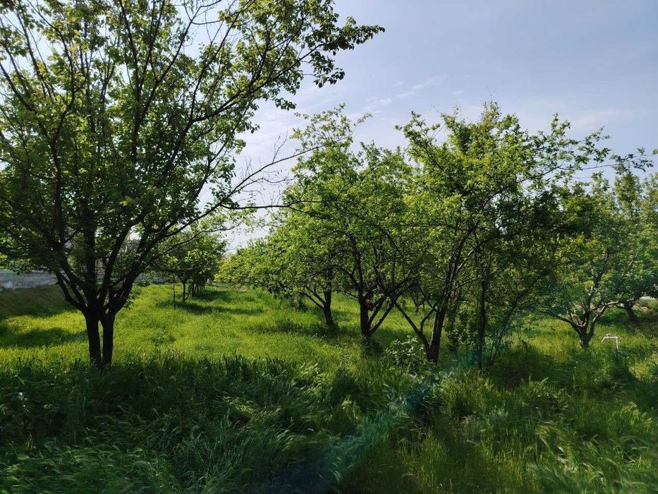 Yer uchaskasi sotiladi