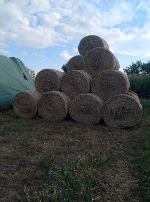 Продавам ролонни бали люцерна със сено