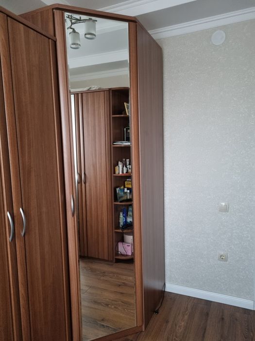 Шифонер угловой, Дятково