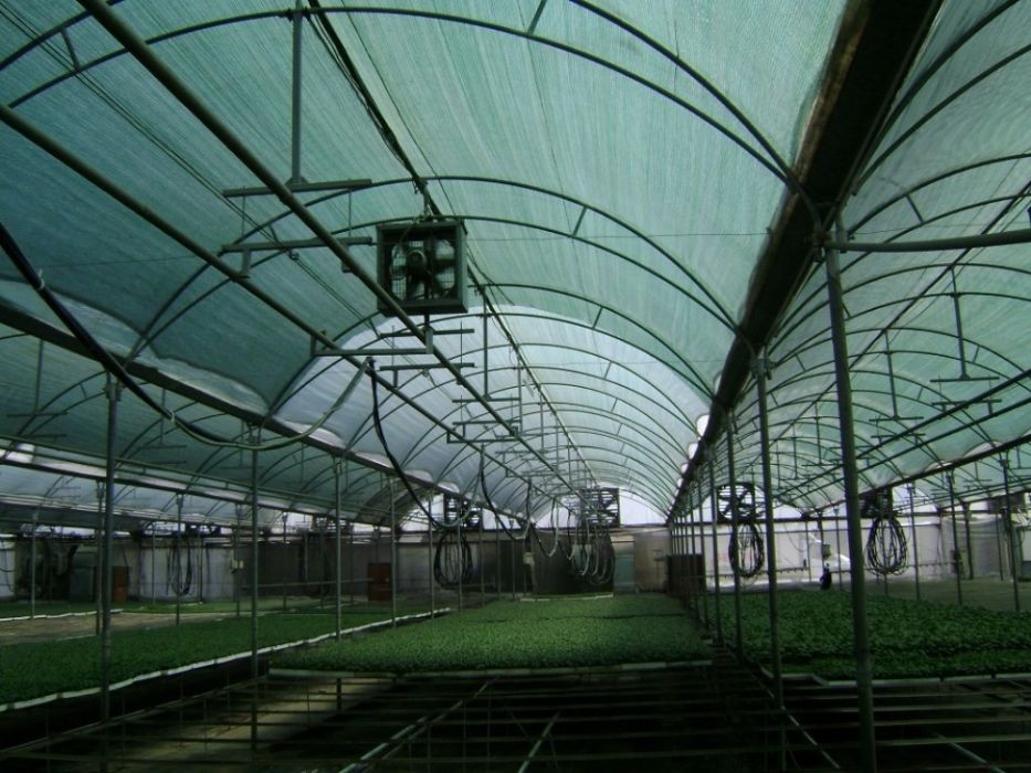 PLASA 50%UMBRIRE 2x50m-220lei; 3x50m=370lei; 6x50m=570lei; GARANTIE