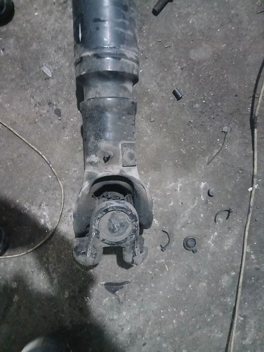 Lentayka most sotiladi