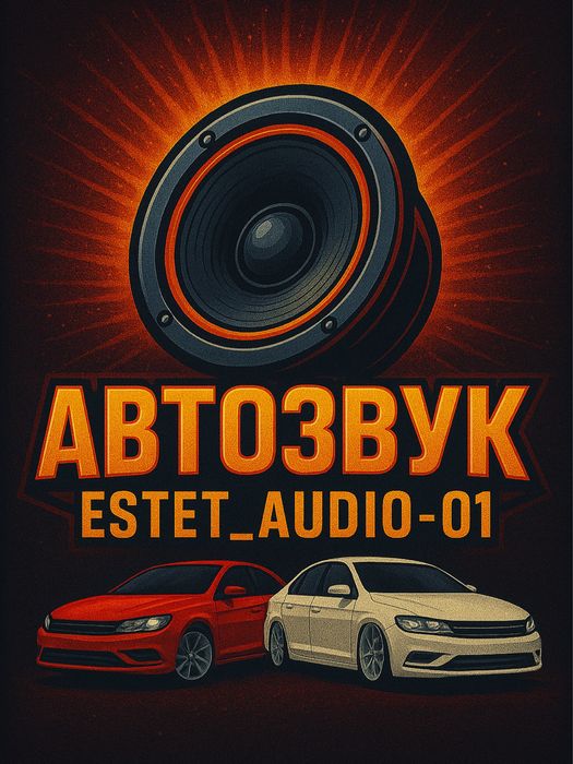 установка автозвука estet_audio01