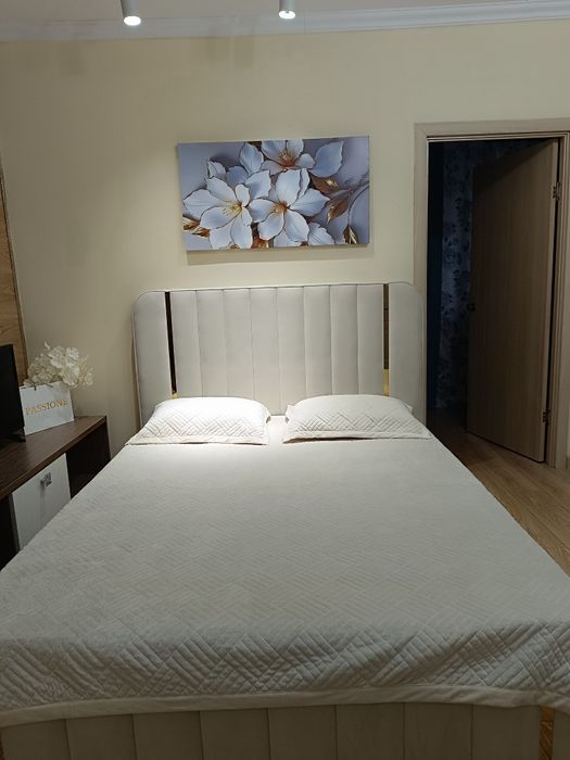 Квартира в центре левого берега