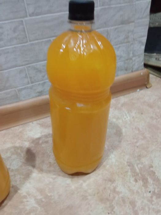 Мёд Катон-Карагайский