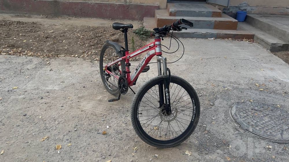 Velosiped 24 sikilmax