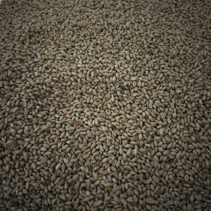 Grau de vanzare uscat și curat