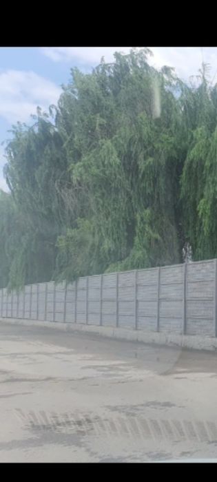 Ахмад Яссавий от 1 гектара до 5 ти  гектаров земля  логистика