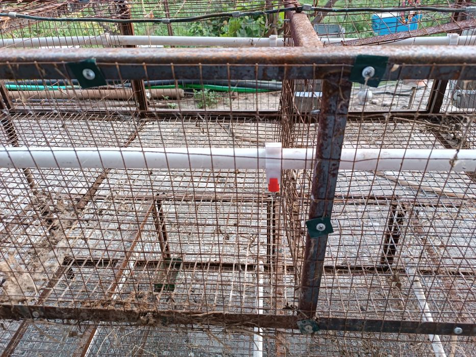 Куен катаклари сотилади