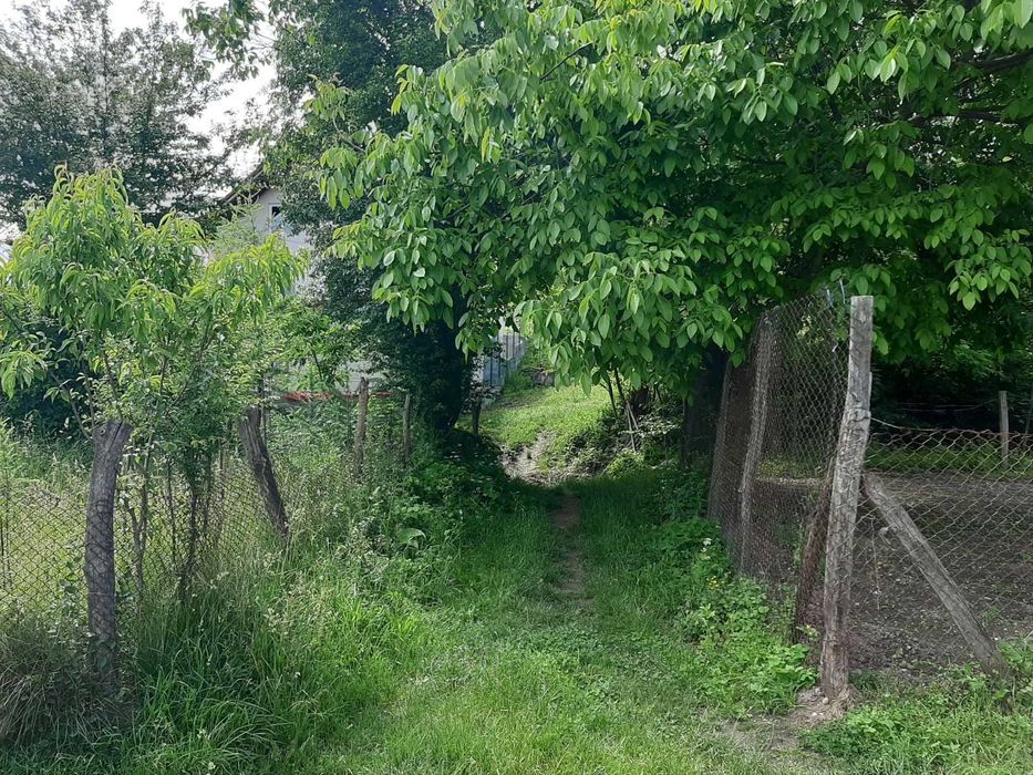 Vanzare teren Pausesti Maglasi, sat Coasta