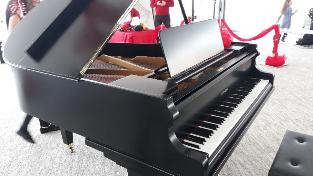 Piane & pianine, pe alb sau pe negru (transport gratuit, garanție)