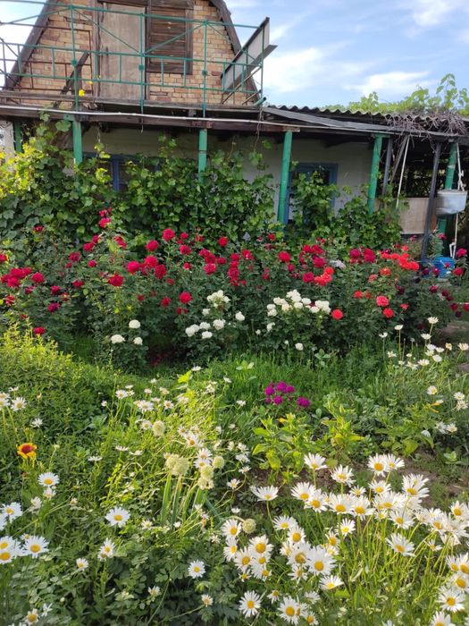 Продам дачу (Медьзаводские дачи)