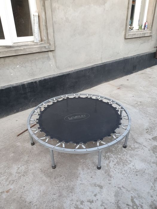 Гимнастика батут