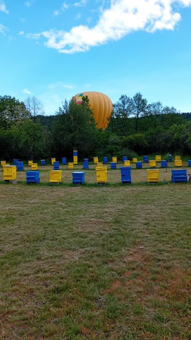 Продавам пчелен мед букет реколта 2026