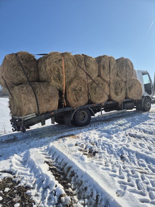 Baloti lucerna uscata
