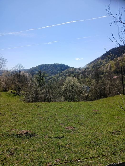 Casă de vânzare în Bucium (Alba) cu teren generos, apr