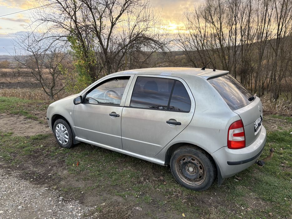 Vand Skoda Fabia