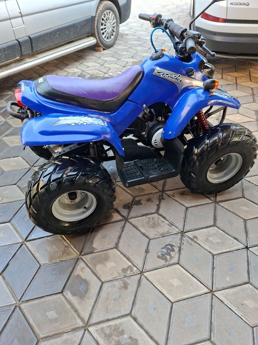 ATV Copii MZ DX 50