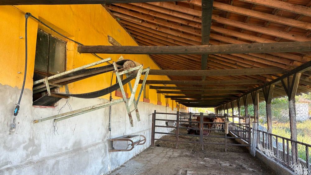 Продава се Парцел в с. Пробуда, Област Търговище - 38000 кв.м за 60 €/кв.м - Снимка #11