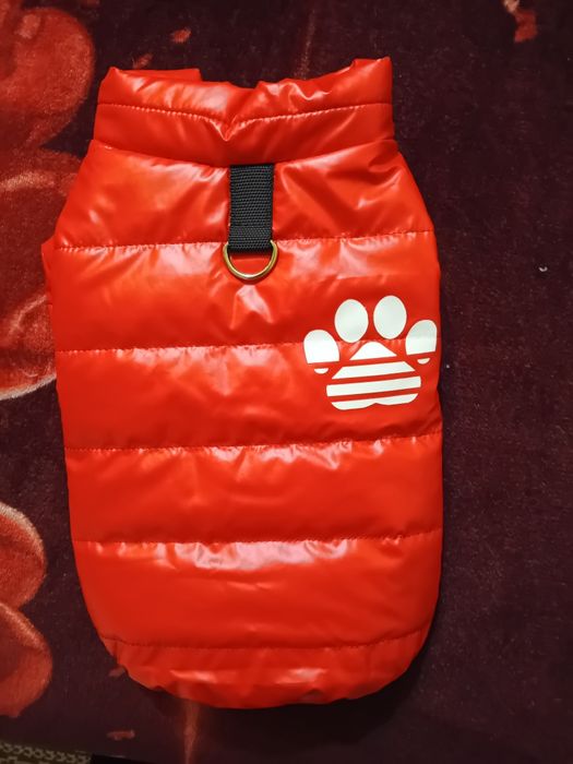 Vând urgent vestă pentru cățelușa