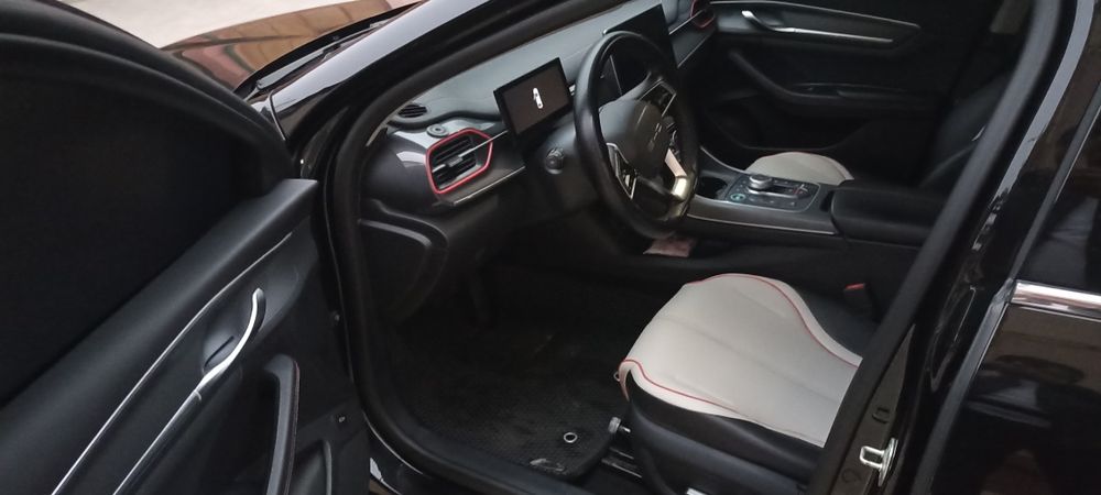 BVD Чазор 2023 Краска тозза 100%. 120 кмлиги.