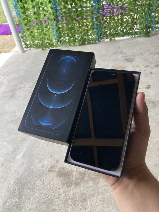  iPhone 12 Pro Max 256GB