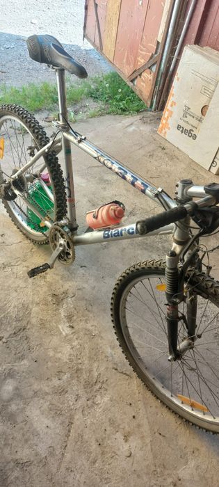 Bicicleta adulti