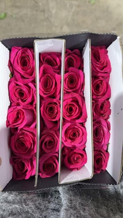 Акция Оптом розы 450 розница 650