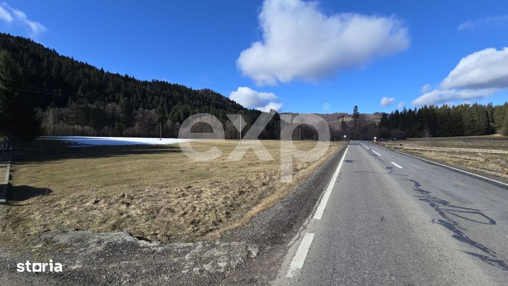 Teren extravilan 19.200 mp – DN1A Sacele, Bradet | Front stradal 130