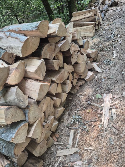 Lemne de foc doar esente tari