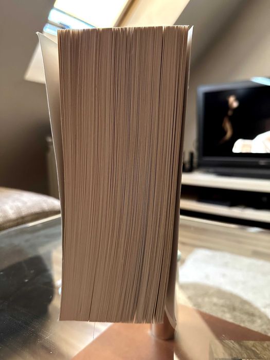 Книга - Буря от Оникс