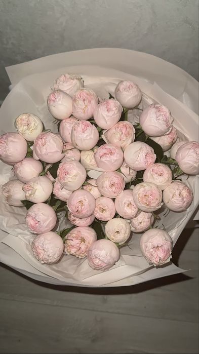 пионвидный розыы