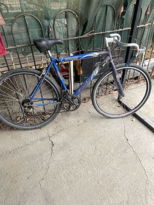 Гоничный велосипед