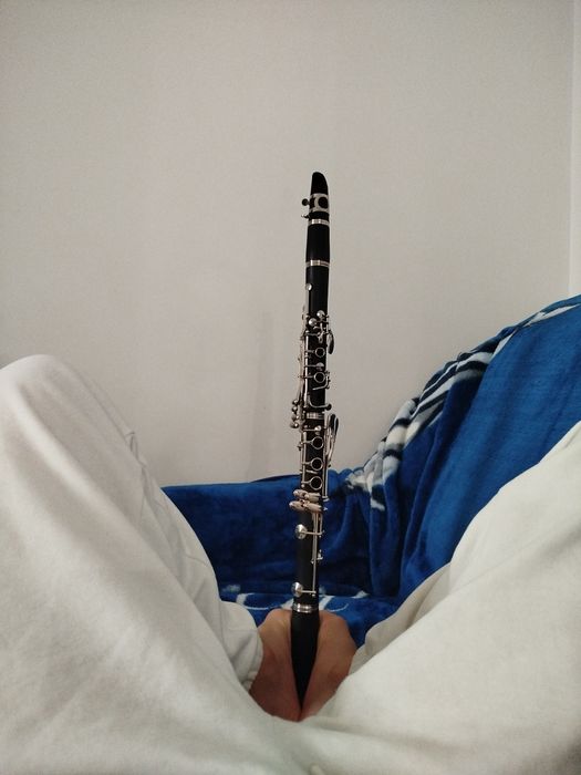 Clarinet foarte bun preț negociabil schimb doar la alegerea mea