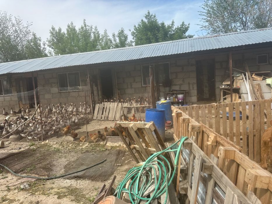 Продам срочно дом