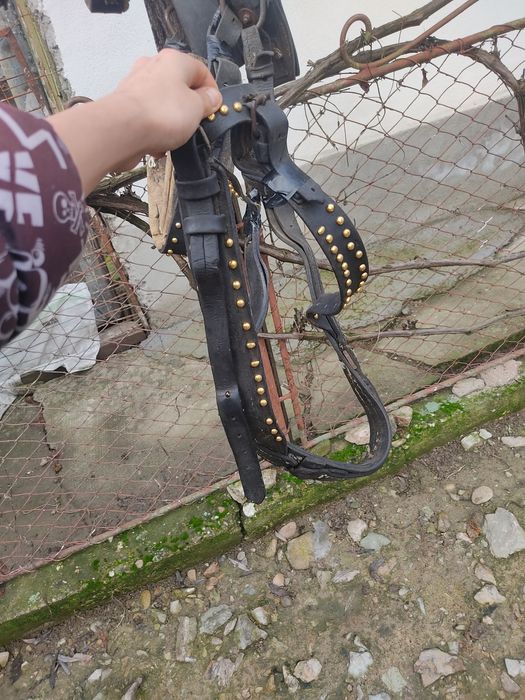 Vand sau schimb ham ponei