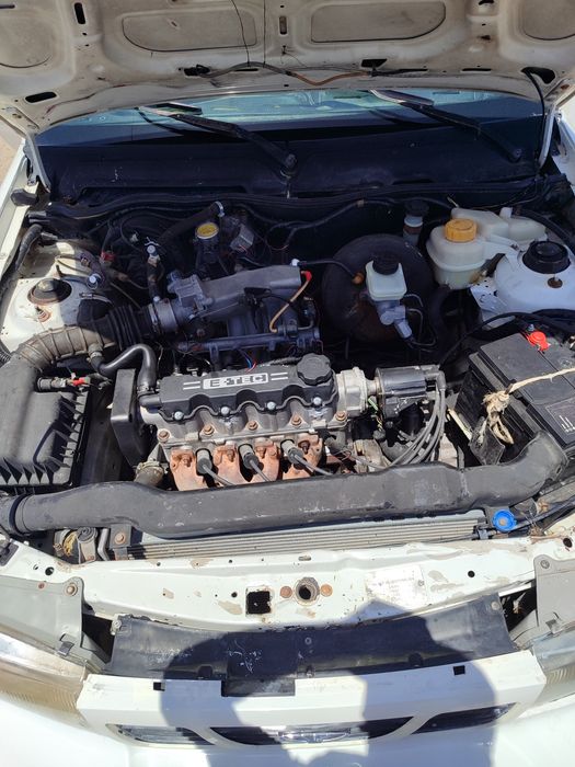 Hadavoy boʻlgan  balon yangi 100 tik mitan