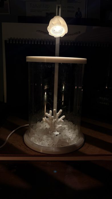 MOON & FISH  Аквариумы + рибки